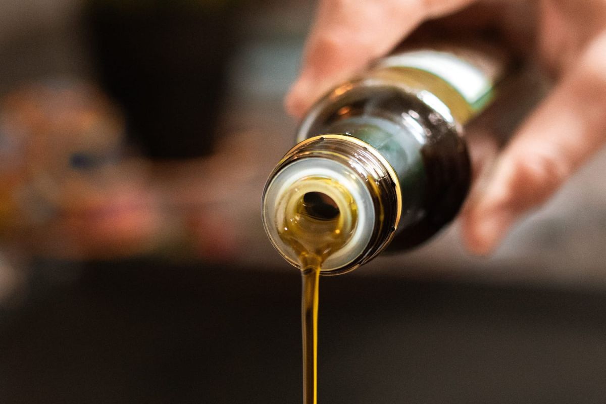 Philippe Etchebest et Mike Horn : une escapade culinaire au cœur de la nature