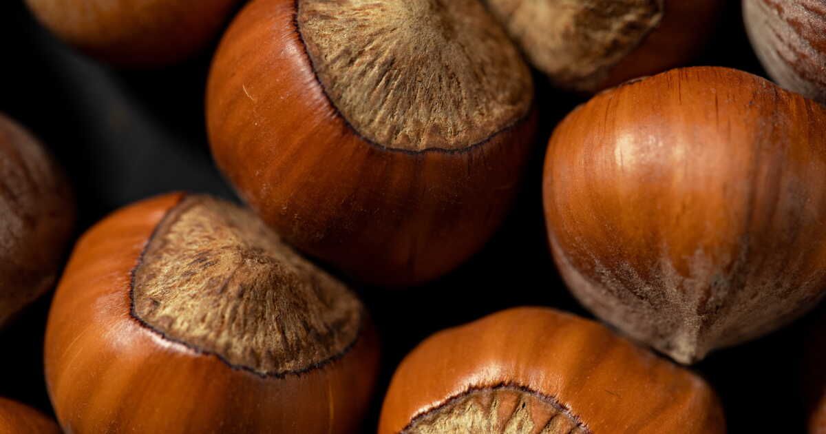 Des techniques infaillibles pour éplucher les châtaignes facilement