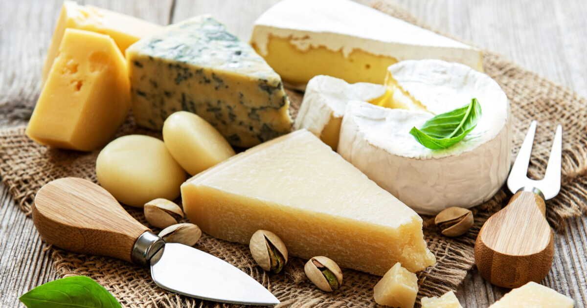 À la découverte des fromages riches en protéines pour une alimentation équilibrée