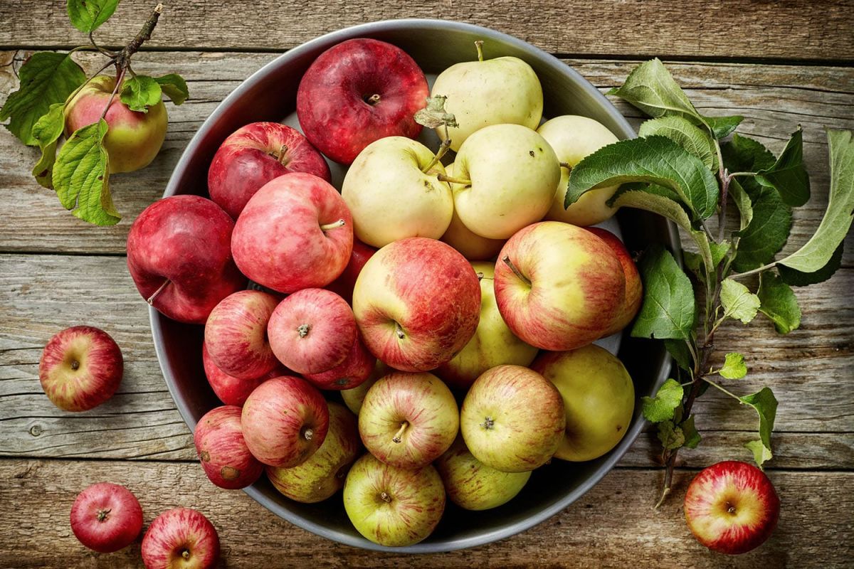 Choisir les bonnes pommes : cuisson ou dégustation ?