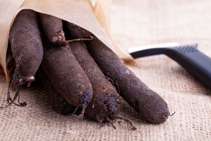 Le salsifis, un trésor oublié de l'hiver