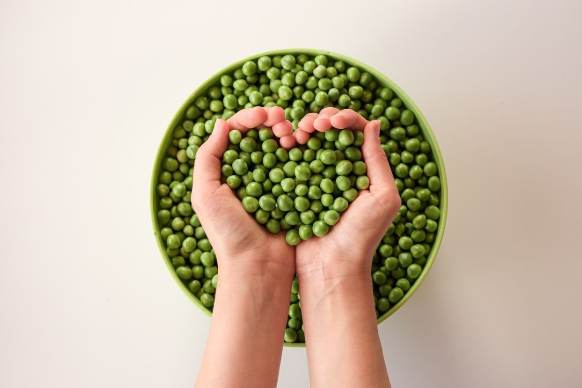 les petits pois surgelés : un trésor nutritionnel à découvrir