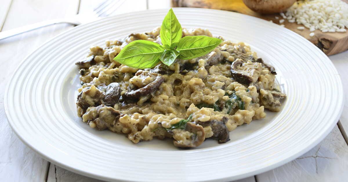 L'art du risotto aux champignons : un délice à savourer