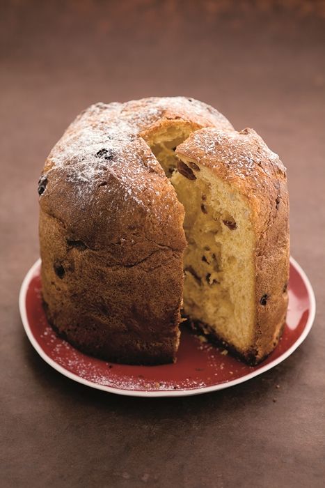 Panettone