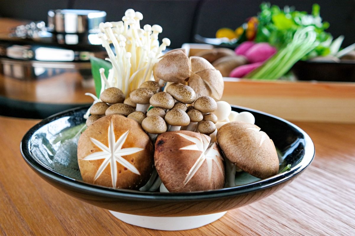 Un champignon miracle pour la santé du foie ?