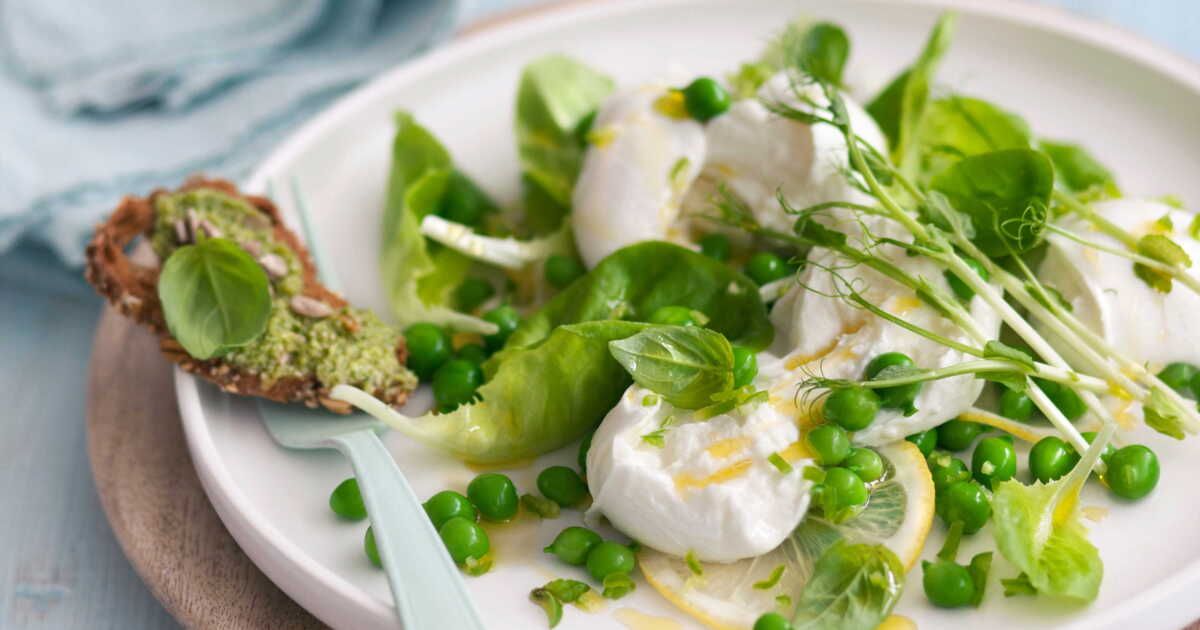 La burrata de saison revisitée avec des petits pois croquants