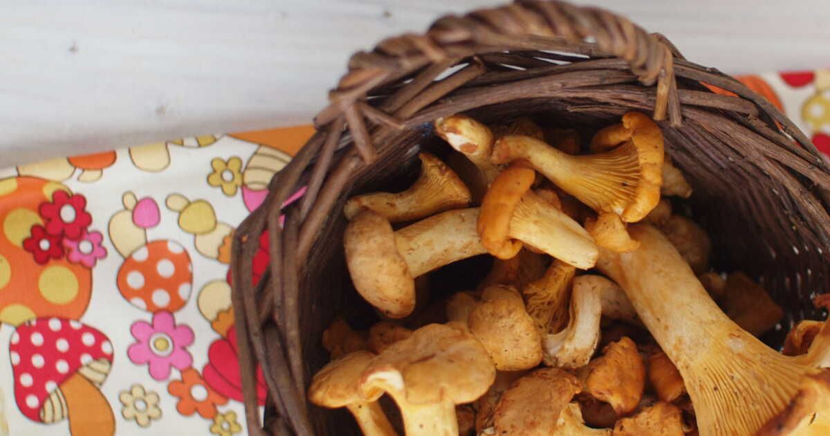 découvrez 5 recettes originales pour sublimer vos champignons