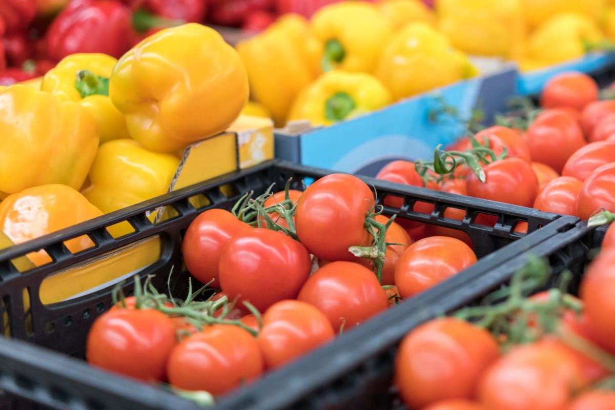 Les tomates : une apparence alléchante, mais un goût trompeur