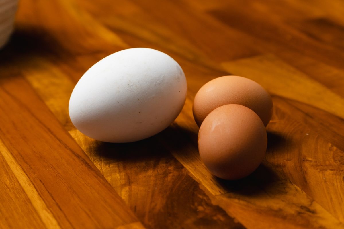 Un homme mange 24 œufs par jour : les effets sur son cholestérol révélés