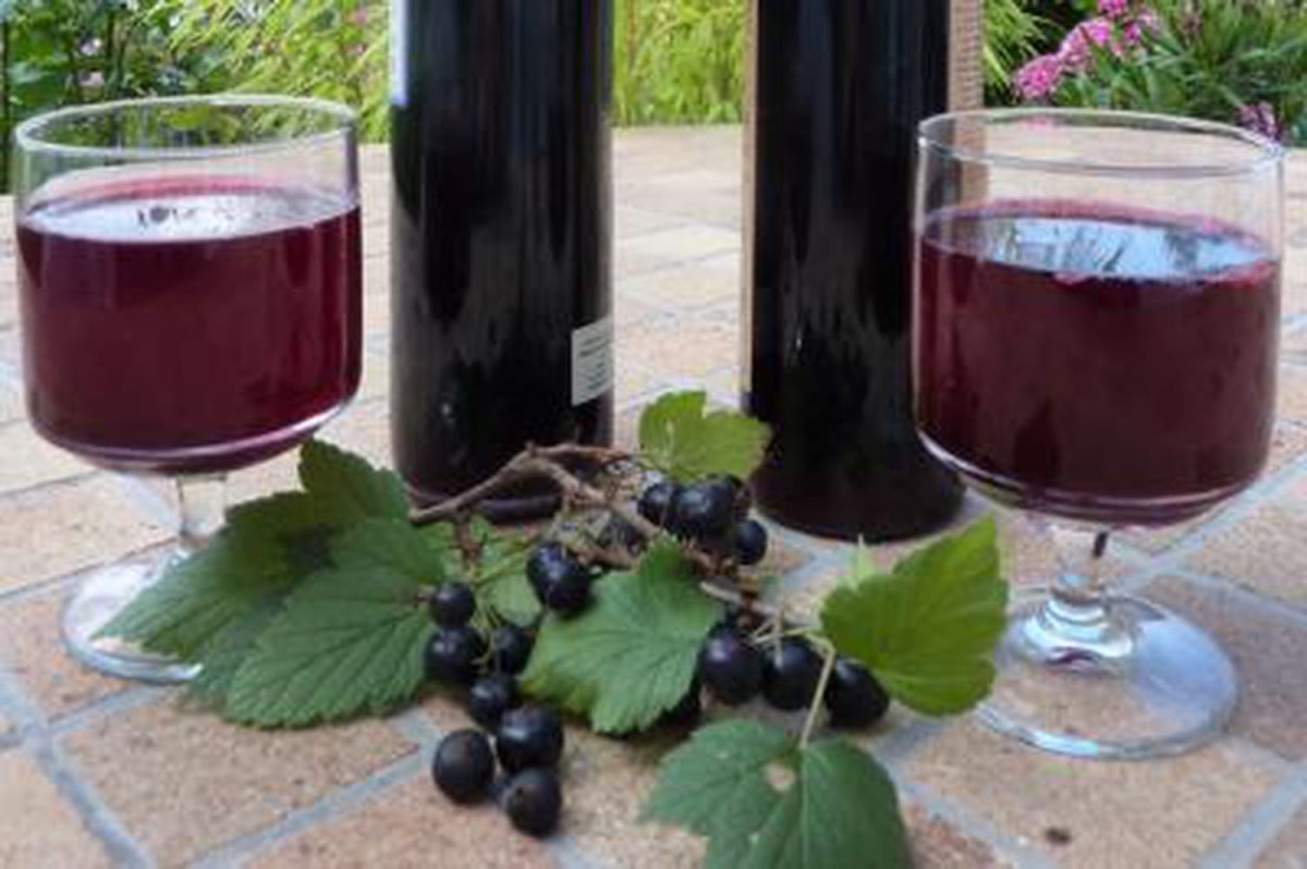 Préparation du sirop de cassis maison