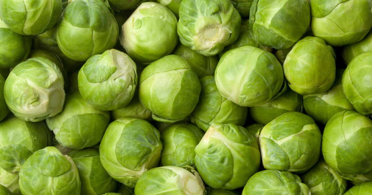 Astuces savoureuses pour apprivoiser les choux de Bruxelles