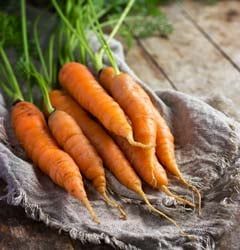Cuisiner les épluchures : un geste simple pour la planète