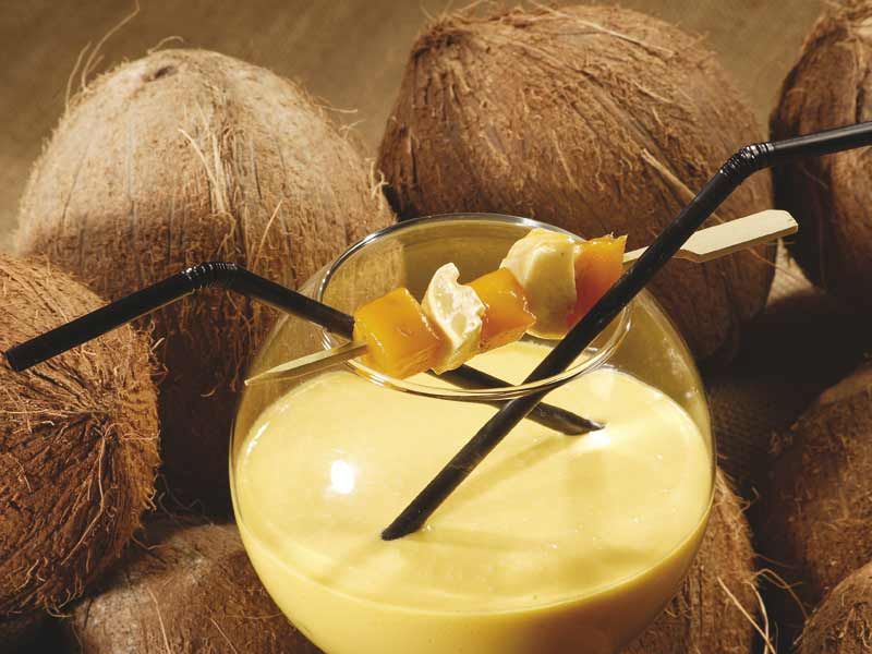 Recettes savoureuses au lait de coco