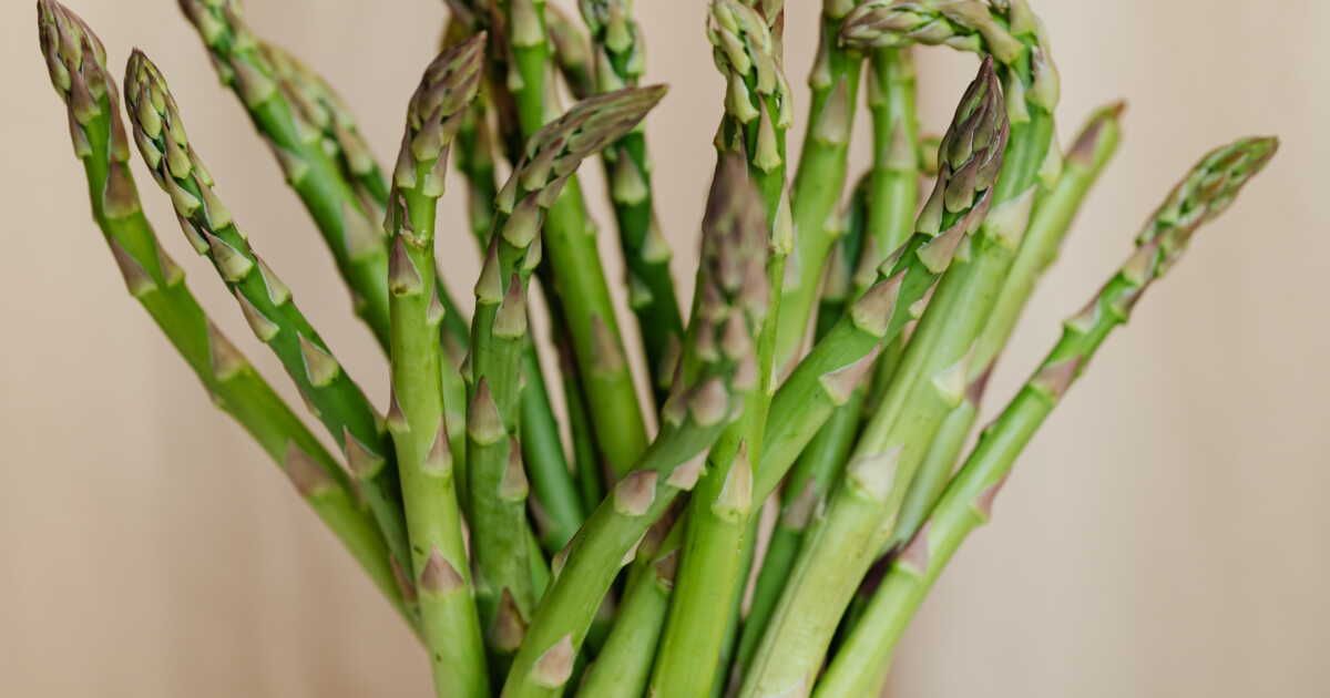 Découvrez nos recettes raffinées de verrines aux asperges