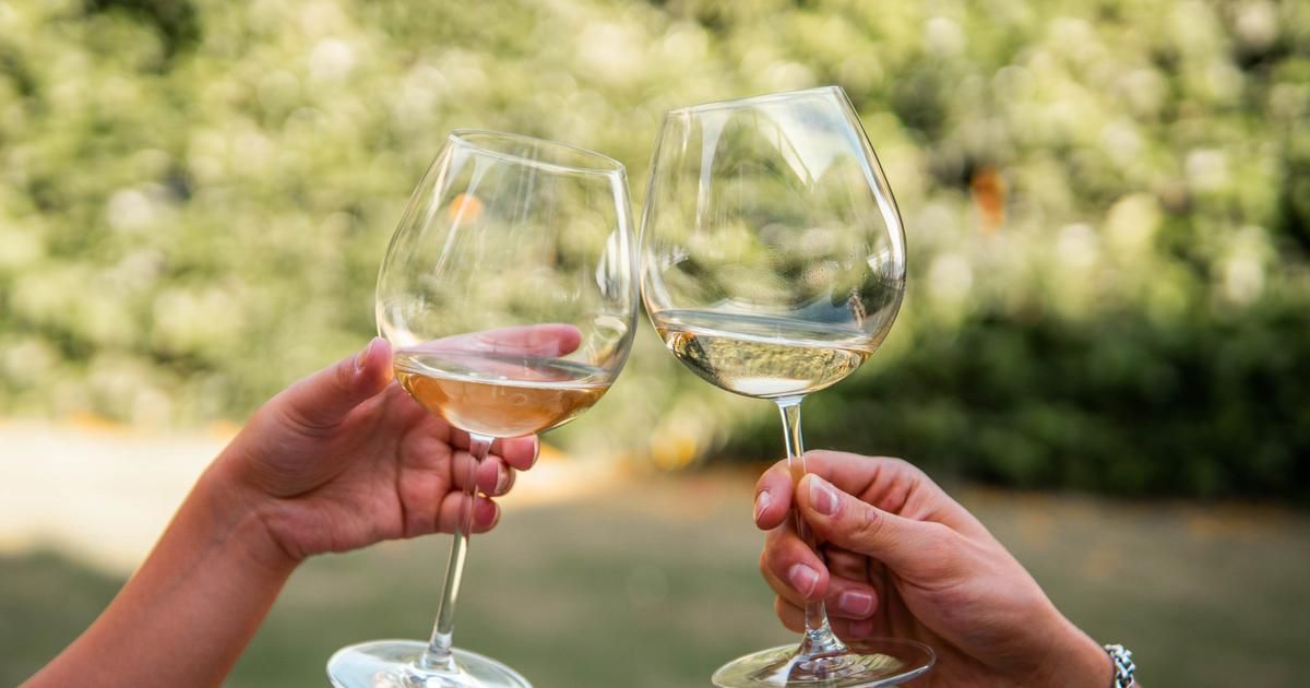Comment bien tenir son verre à vin selon les experts