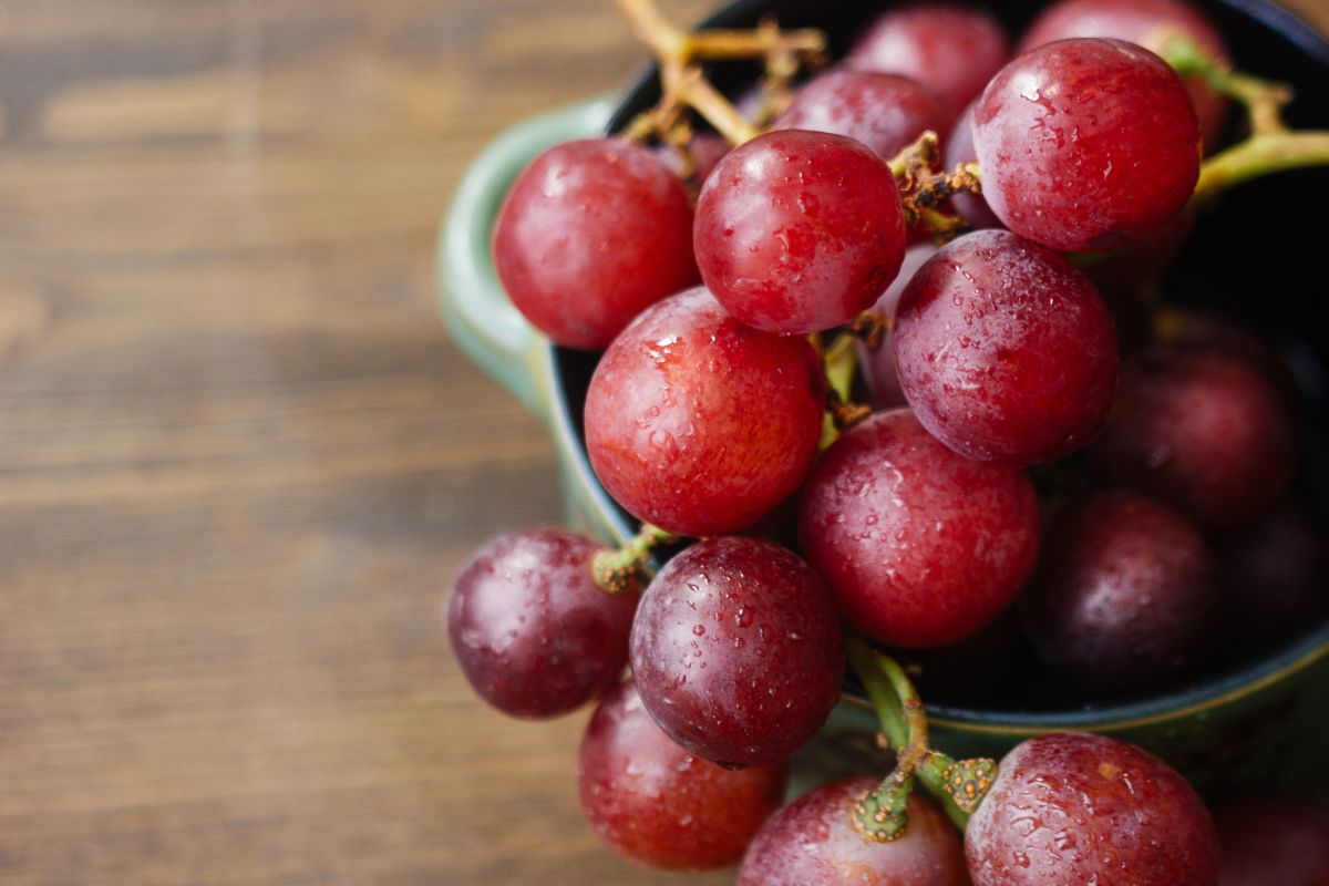Le raisin, le fruit aux mille bienfaits pour bien débuter la saison