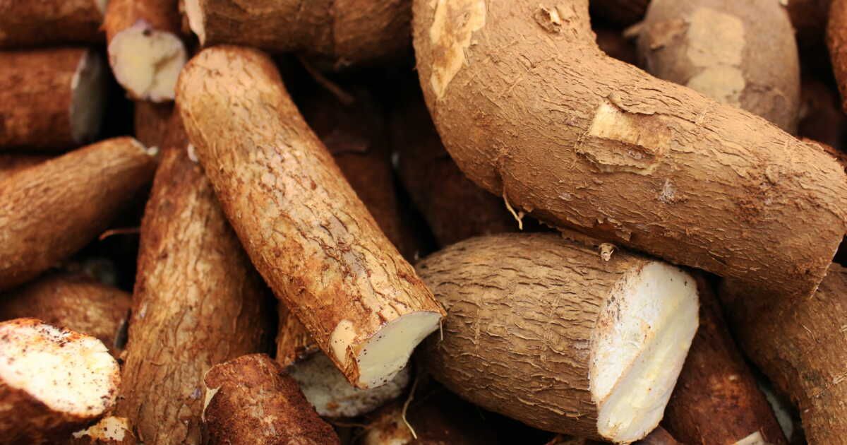 3 idées recettes faciles pour cuisiner le manioc