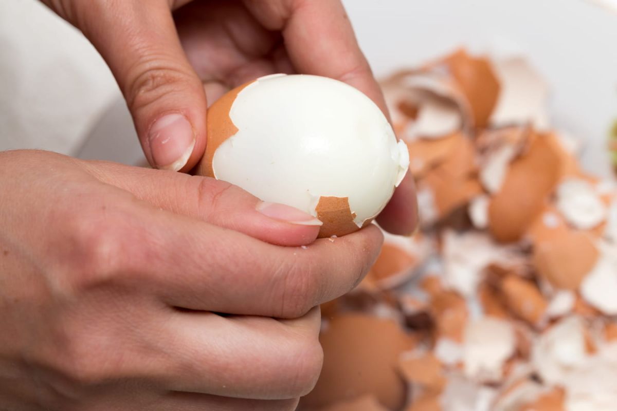 Écaler un œuf en un éclair : découvrez nos astuces infaillibles