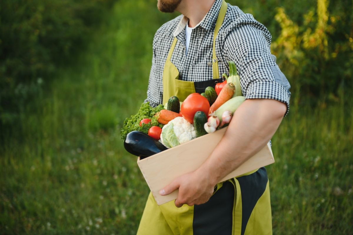 Cholestérol : des solutions naturelles pour le maîtriser