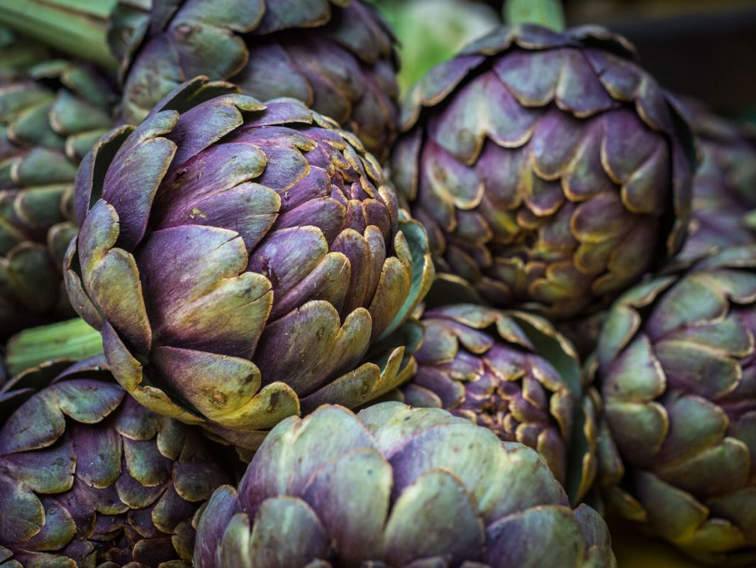 L'artichaut à l'honneur : 9 recettes délicieuses pour cet été