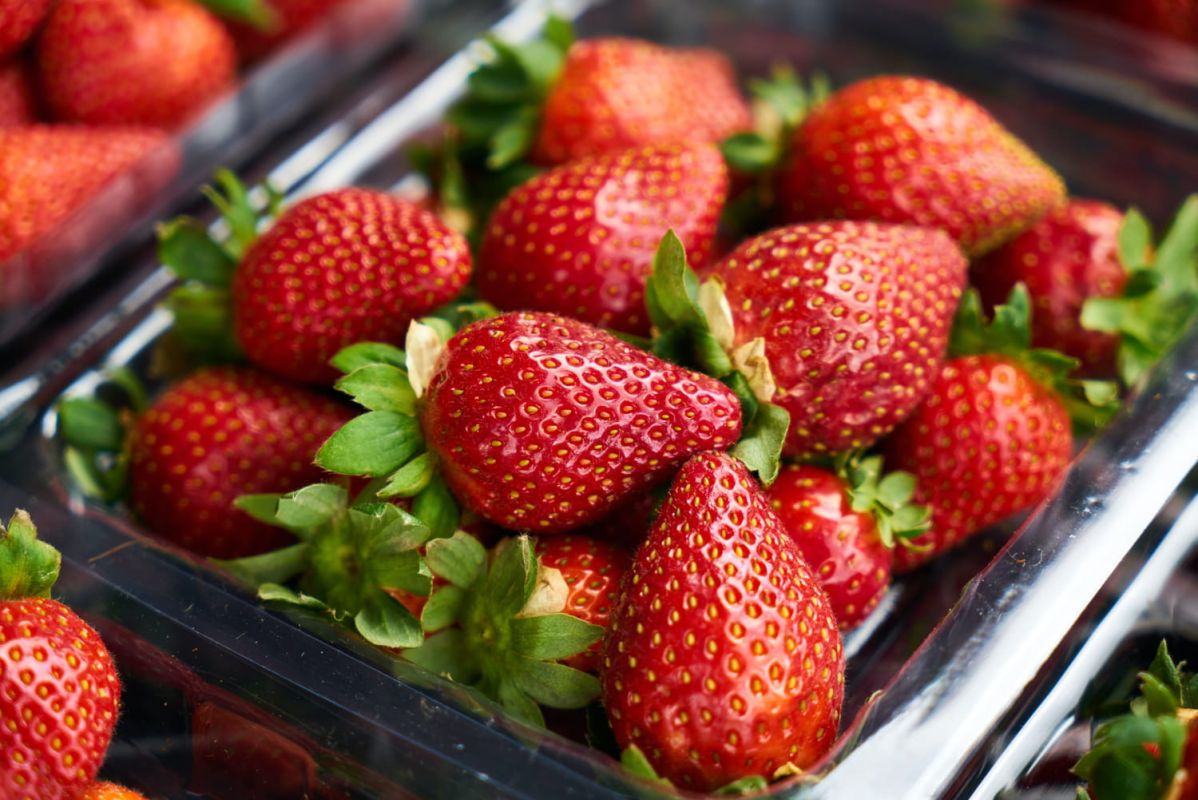 les secrets pour garder vos fraises fraîches plus longtemps