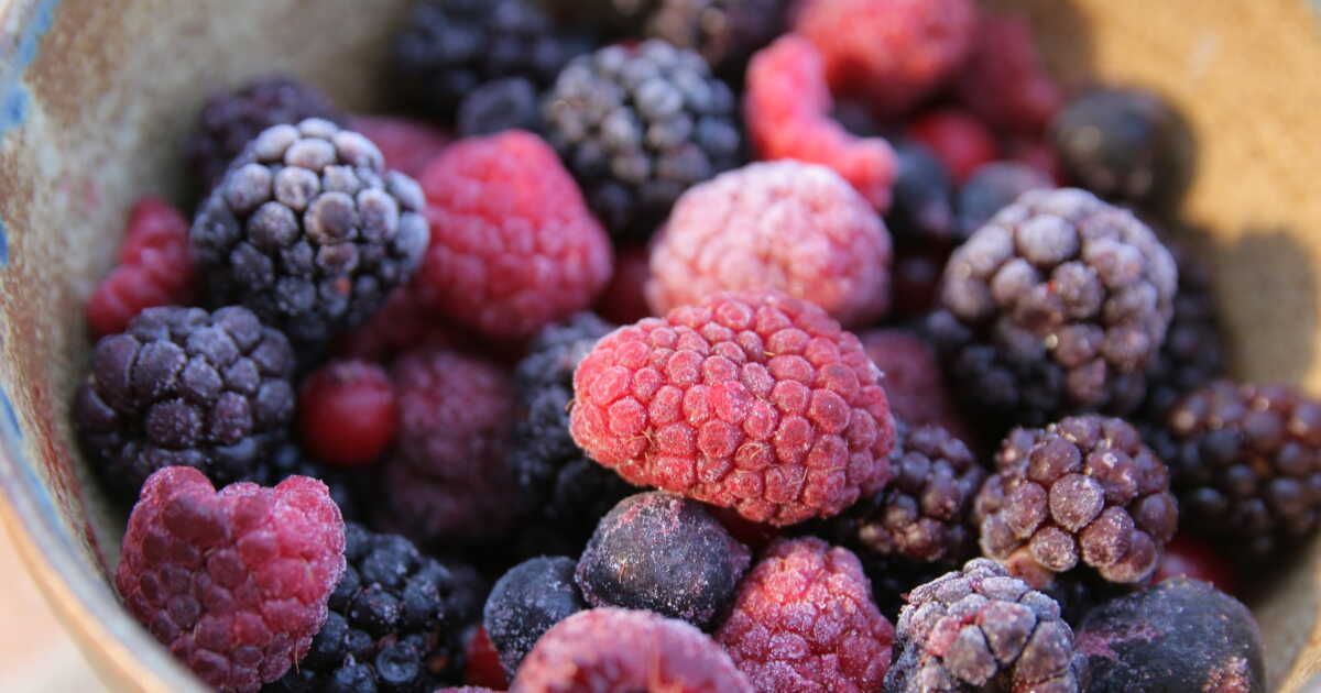 Congélation des fruits : guide essentiel pour profiter des saveurs toute l'année