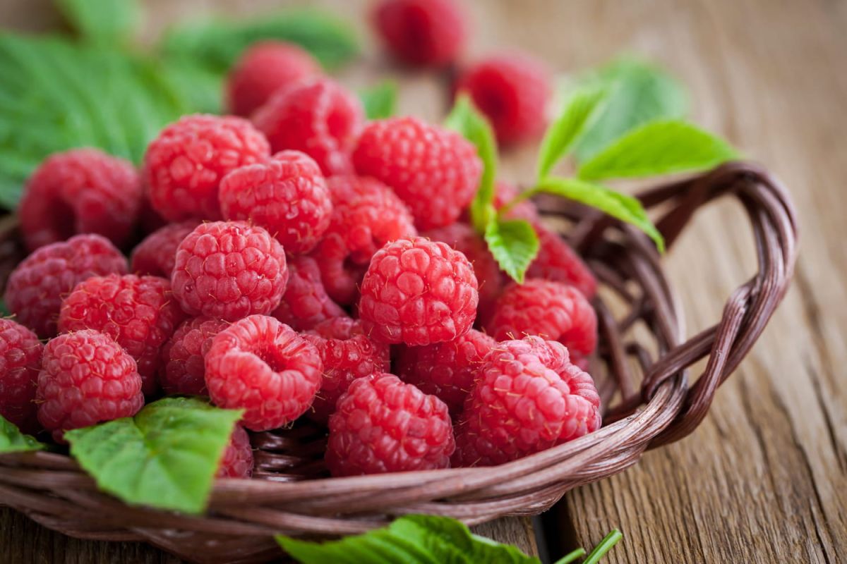 Astuces pour retirer les pépins des framboises facilement