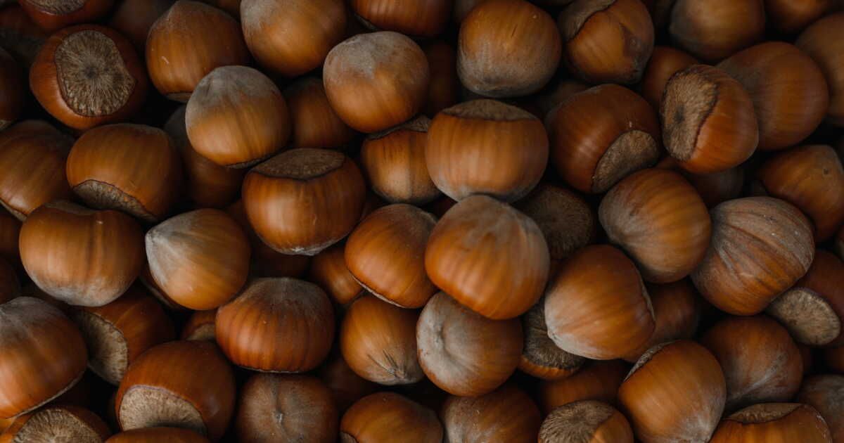 se régaler avec des noisettes : 2 douceurs pour la rentrée