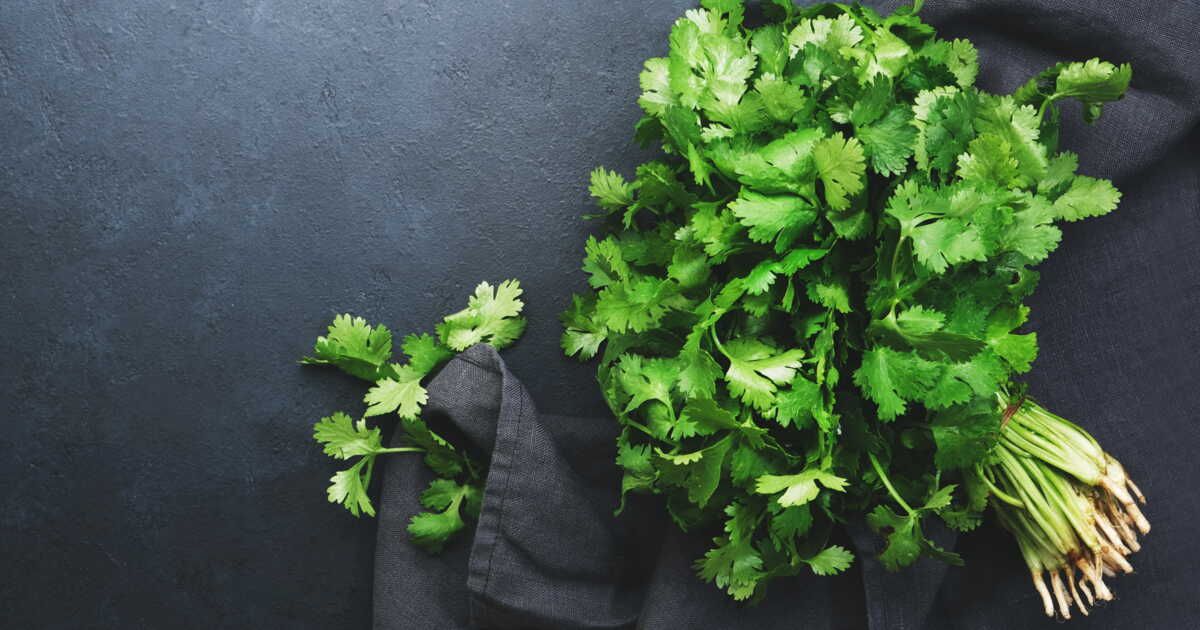 L'astuce révolutionnaire pour effeuiller persil et coriandre en un clic