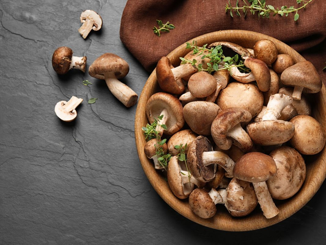 Intégrer les champignons dans son alimentation pour réduire les risques de cancer