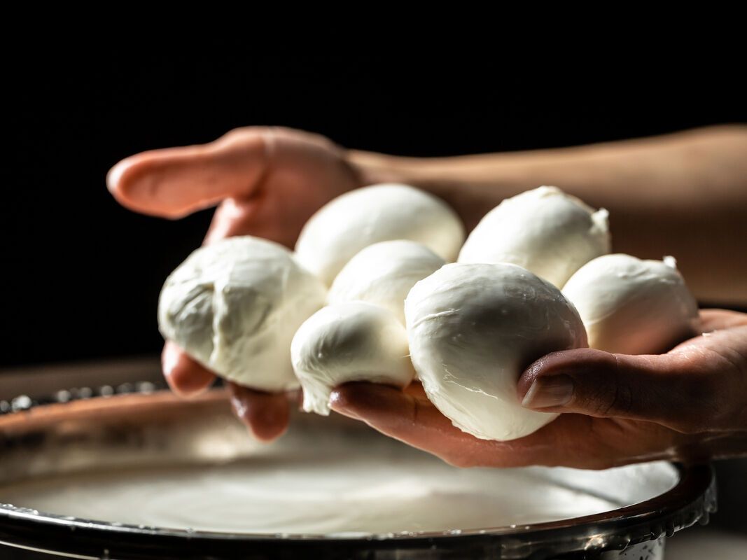 découvrez 9 recettes irrésistibles à la mozzarella