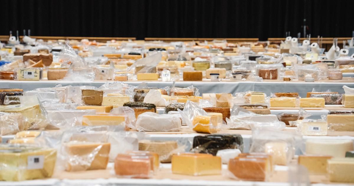 La Suisse couronnée pour son fromage exceptionnel aux World Cheese Awards