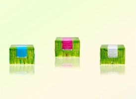 Les thés bien-être de Fauchon en pharmacie