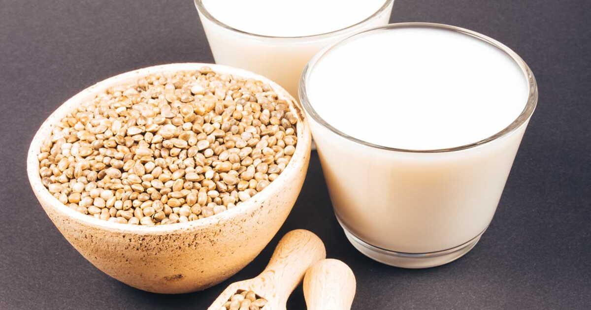 Les laits végétaux : fonctionnement et vertus