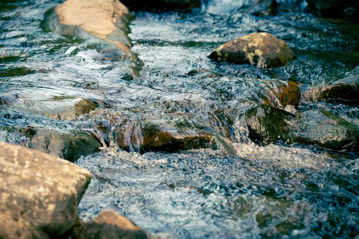 l'eau brute : un retour à la nature dangereux pour votre santé